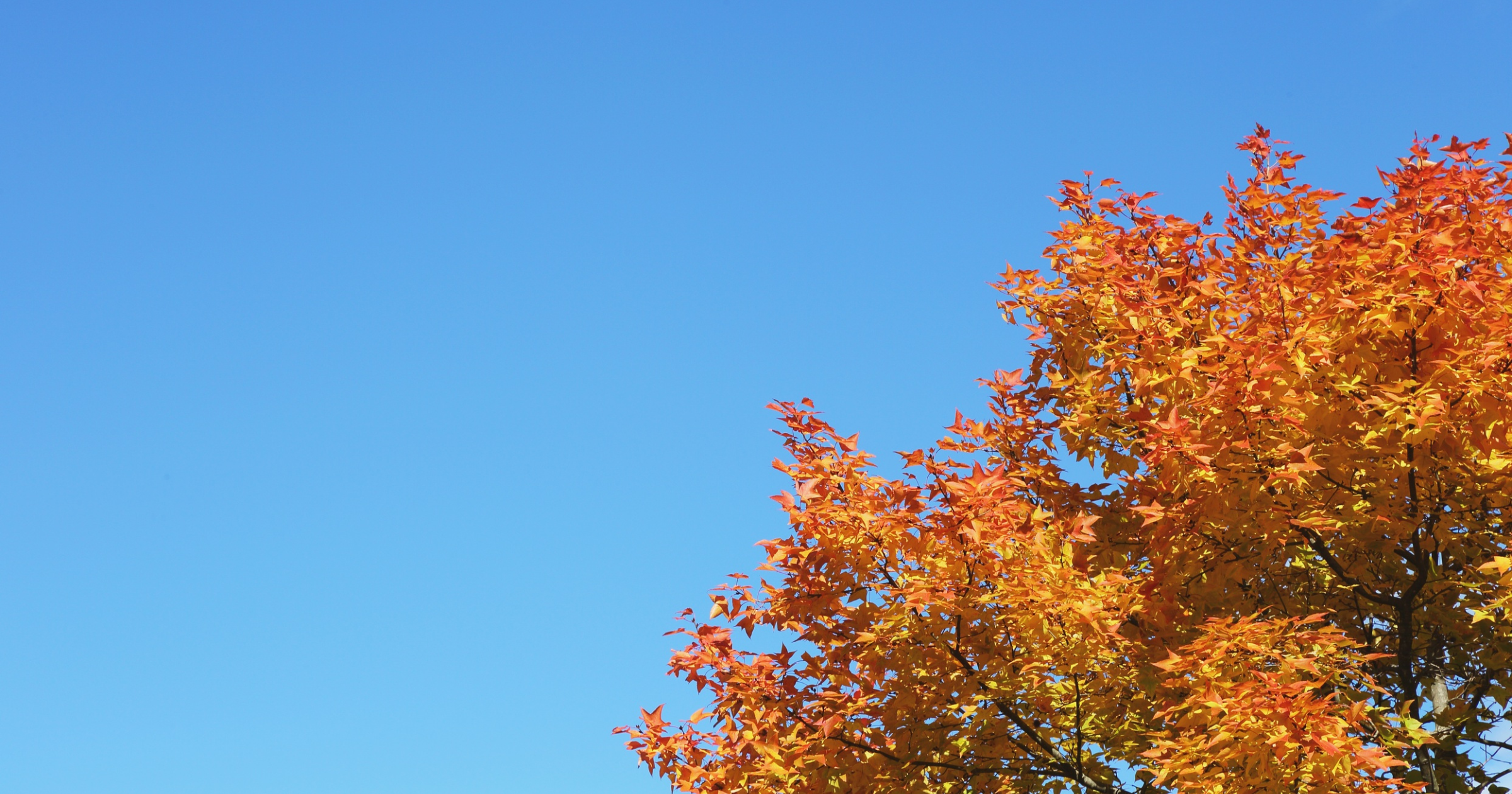 神戸風舎第2回わかちあい秋空